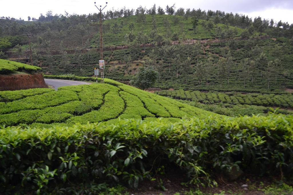 Ferndale Homestay Thekkady Exterior photo