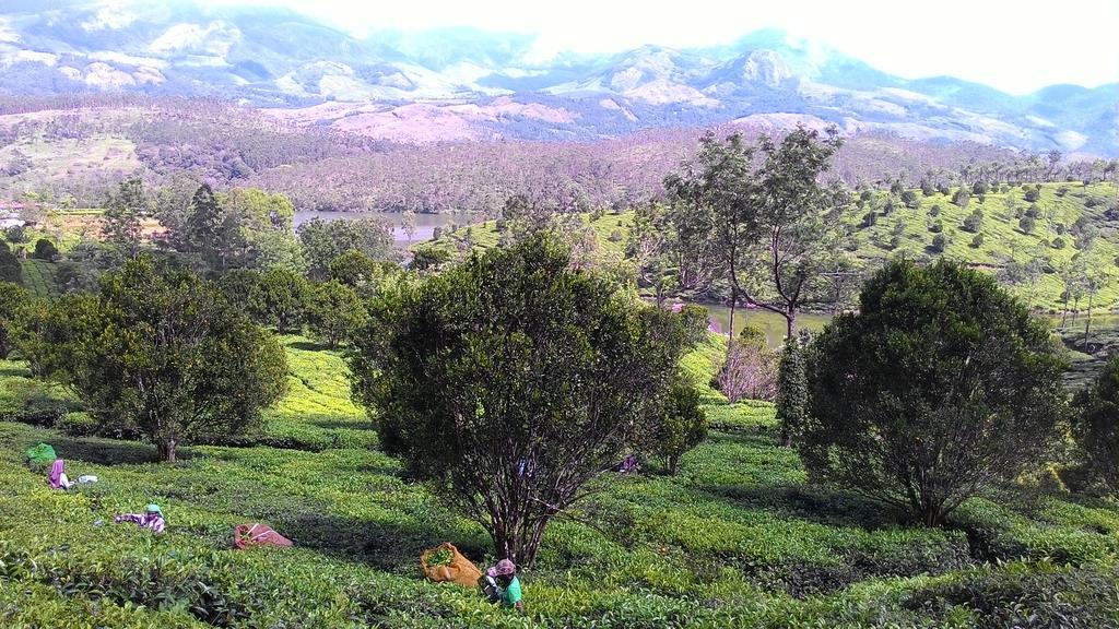 Ferndale Homestay Thekkady Exterior photo