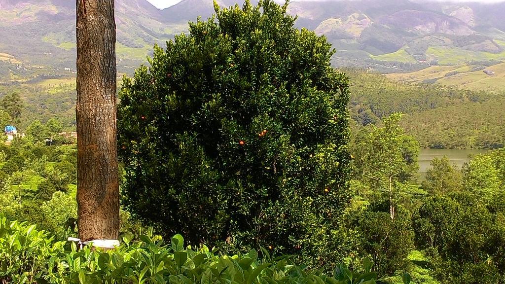 Ferndale Homestay Thekkady Exterior photo
